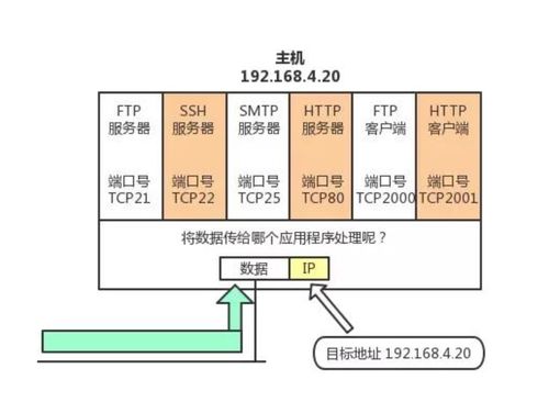 菜鸟系列计算机网络 TCP 与 UDP 协议深度解析及计算机网络系统工程实践